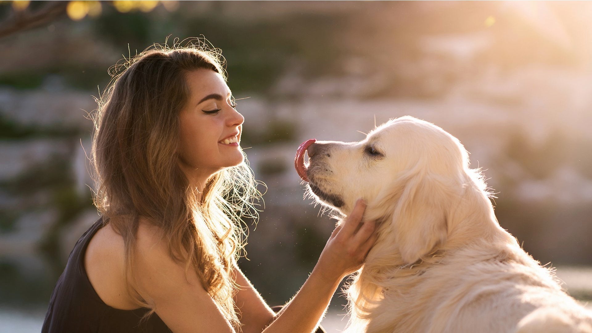 Choosing the Right Nutrition for Your Pet Well Being